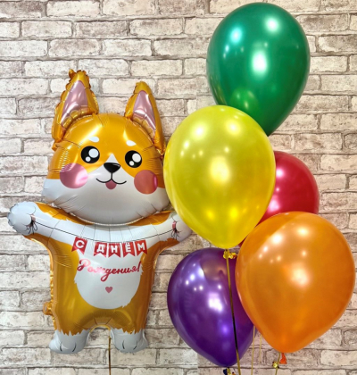 Набор с Корги