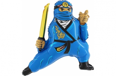 Ниндзя Ниндзяго