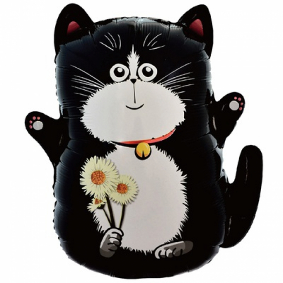 Кот с ромашками