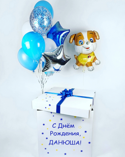 Коробка с шарами и щенком